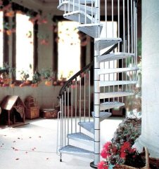 ����� ���� �����