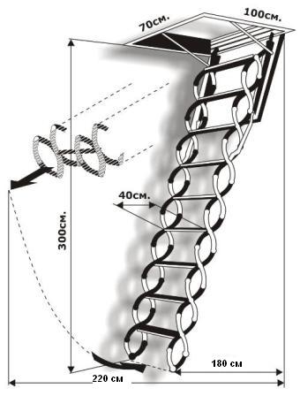 ��������� �����