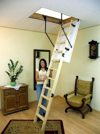 ��������� ����� ����