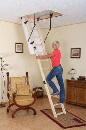 ��������� ����� ����